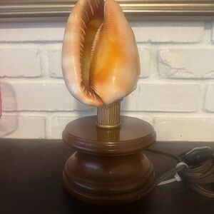🏖️ beachy lamp Carved Cameo  Shell Light Petite Home